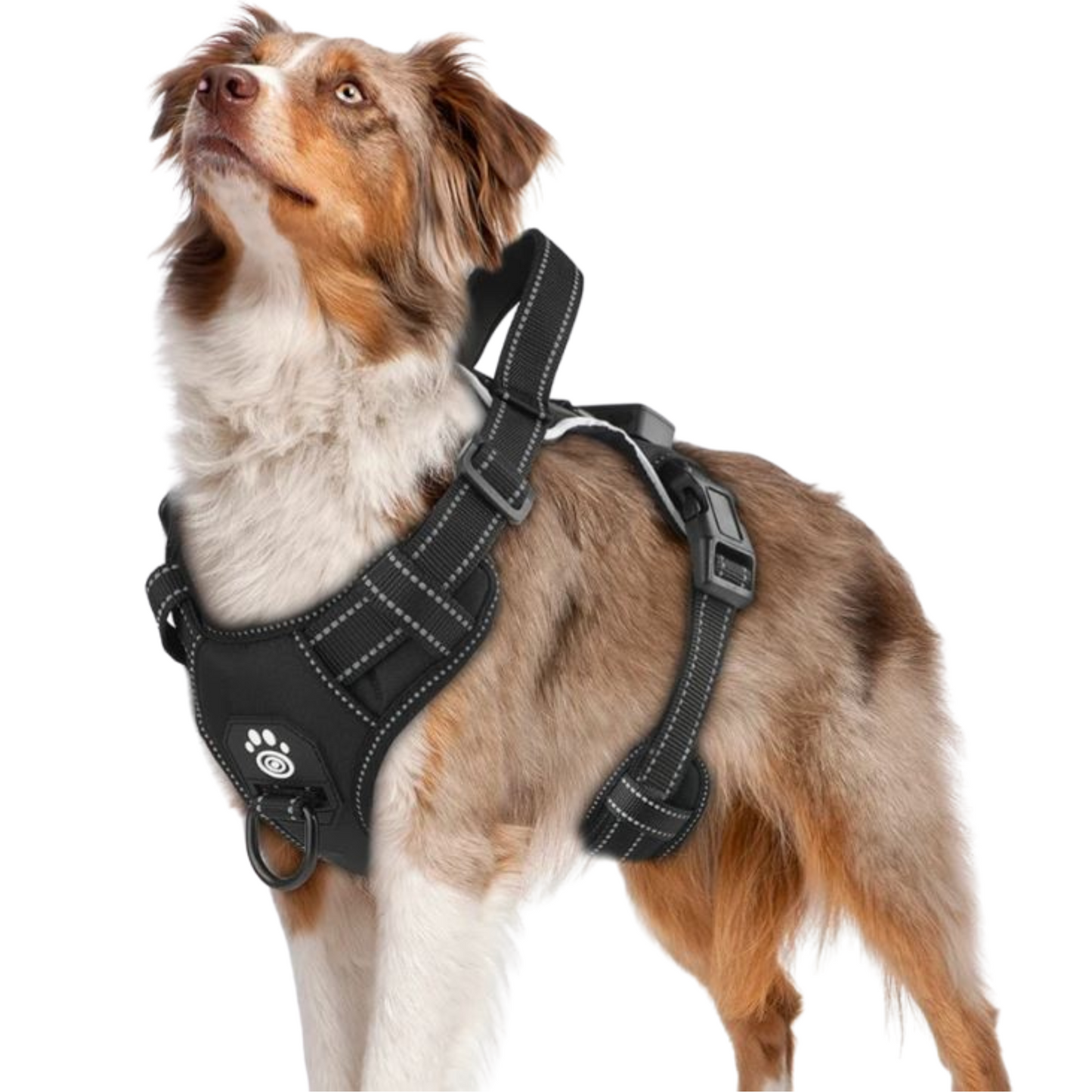 🐕 Arnés LED Antitirones Ergonómico