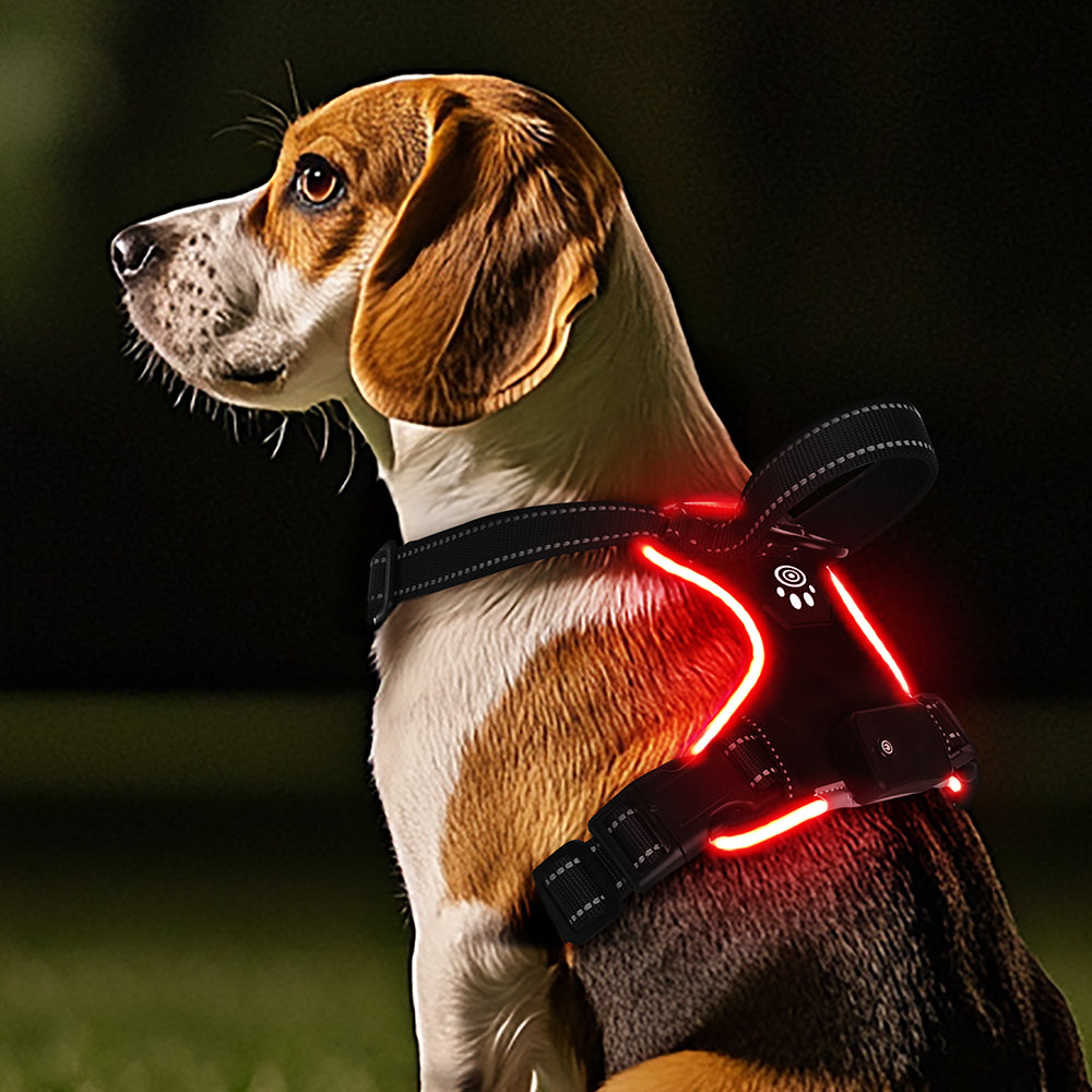🐕 Arnés LED Antitirones Ergonómico