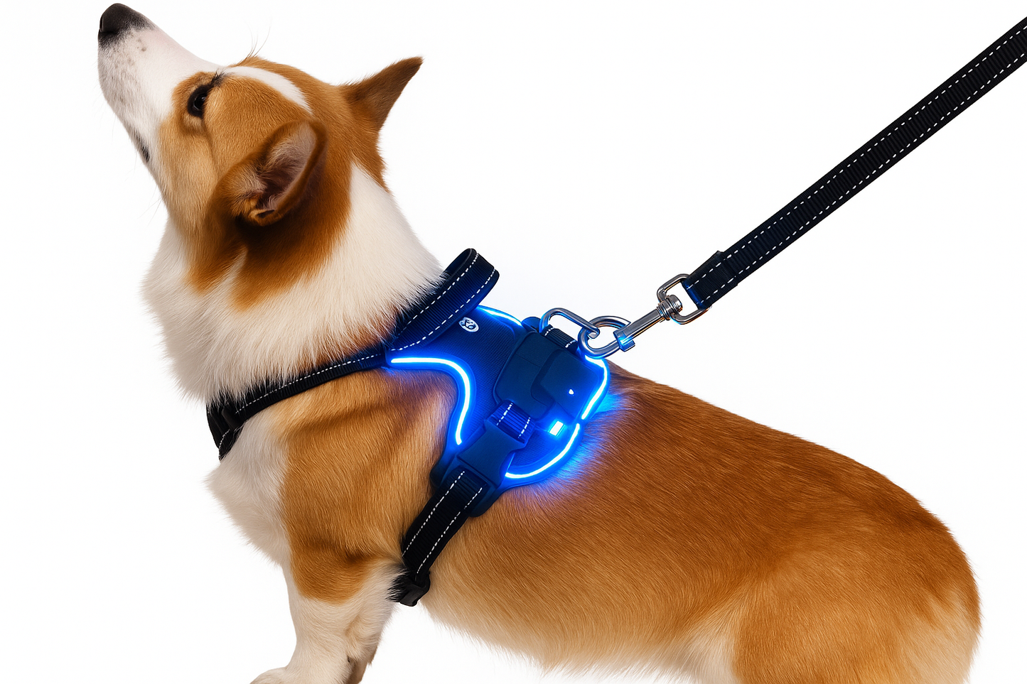 🐕 Arnés LED Antitirones Ergonómico