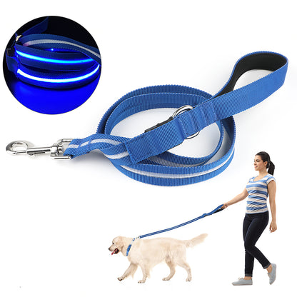 🐾 Correa LED – Seguridad y Estilo en Cada Paseo