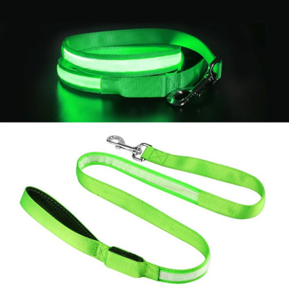 🐾 Correa LED – Seguridad y Estilo en Cada Paseo