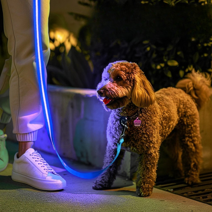 🐾 Correa LED – Seguridad y Estilo en Cada Paseo